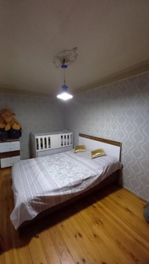 Best apartment with a garden in Baku, Whole Apartment 85m2